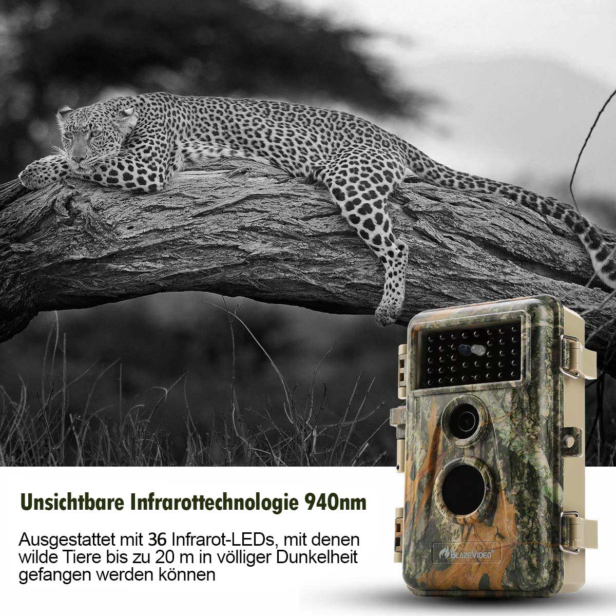 Wildkamera 64MP 2304*1296p mit Bewegungsmelder Nachtsicht Maximale Entfernung bis 75 Füße, 0,3s Trigger Geschwindigkeit , IP66 Wasserdichter| A252 Mattes Militärgrün