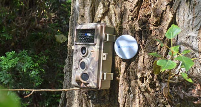 BlazeVideo A262 Wildkamera Kompakte Beobachterin für die Natur
