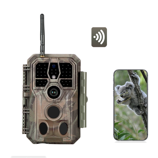 Wildkamera mit WLAN