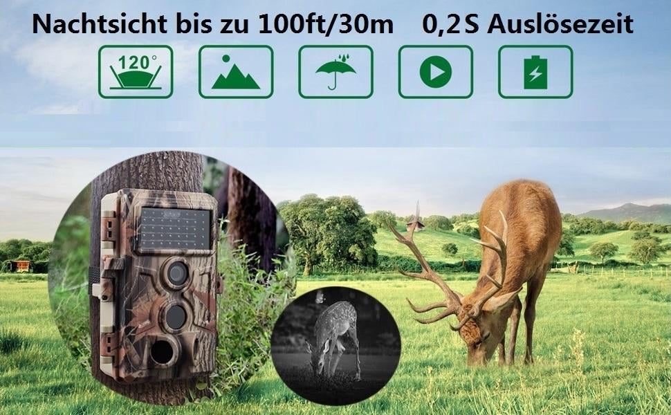 Wie die beste geeignete Wildkamera Jagdkamera in 2020 auszuwählen