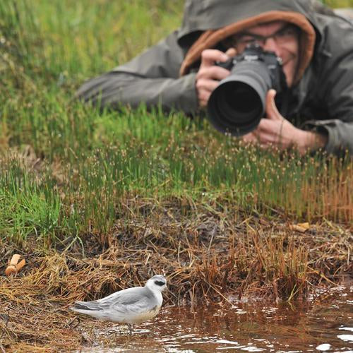 Fotofalle: das perfekte Werkzeug für Naturforscher