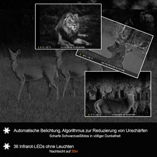 Nachtkameras