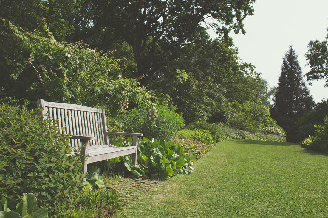 Schützen Sie Ihr Grundstück und Ihren Garten mit einer Jagdkamera oder einer Kamerafalle?