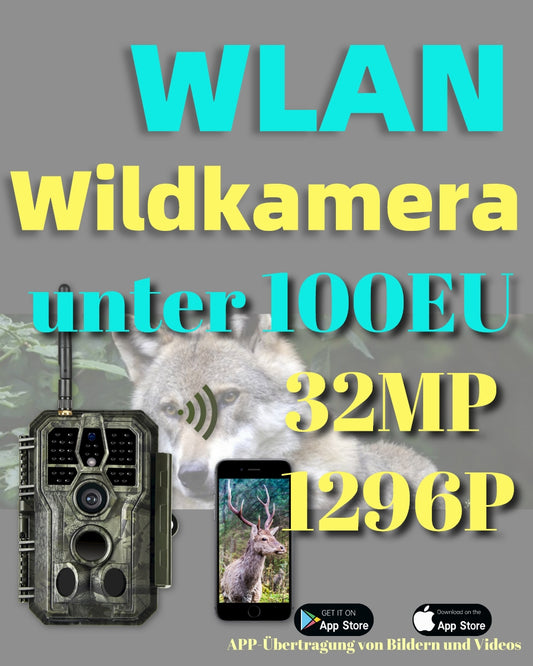 8 wichtige Tipps um ihre Wildkamera richtig zu platzieren und optimale Aufnahmen zu erzielen!