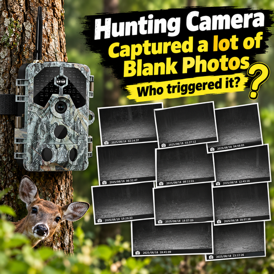 Warum nimmt die Wildkamera so viele leere Fotos auf?