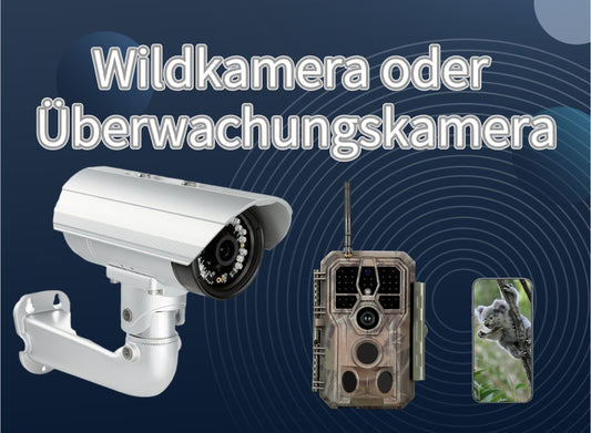 Wildkamera oder Überwachungskamera