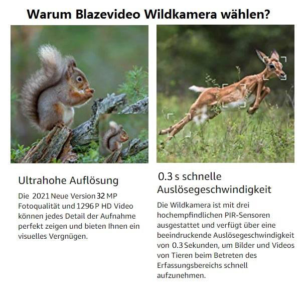 Wildtierkamera 32MP 2304*1296p mit Bewegungsmelder Nachtsicht Maximale Entfernung bis 75 Füße, 0,3s Trigger Geschwindigkeit , IP66 Wasserdichter| A252