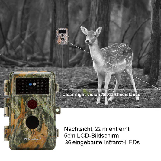 4-tlg. Wildkamera 64MP 1296p mit Bewegungsmelder Nachtsicht Maximale Entfernung bis 75Füße, 0,3s Trigger Geschwindigkeit , IP66 Wasserdichter| A252 Mattes Militärgrün