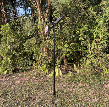 Wildkamera-Halterung mit Bodenanker & Stativ | Höhenverstellbare Seitenhalterung für 2 Kameras oder Solarpanel | Max. 142 cm | 1/4"-20 Universalgewinde