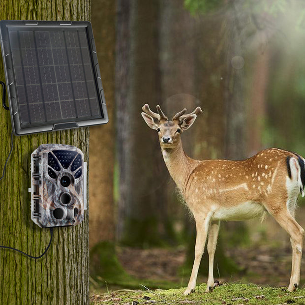 Solarpanel-Kits 5W 10000mAh 12V/6V Ausgang Outdoor oder Indoor Wiederaufladbare Stromversorgung für alle Wildkamera | BL6A