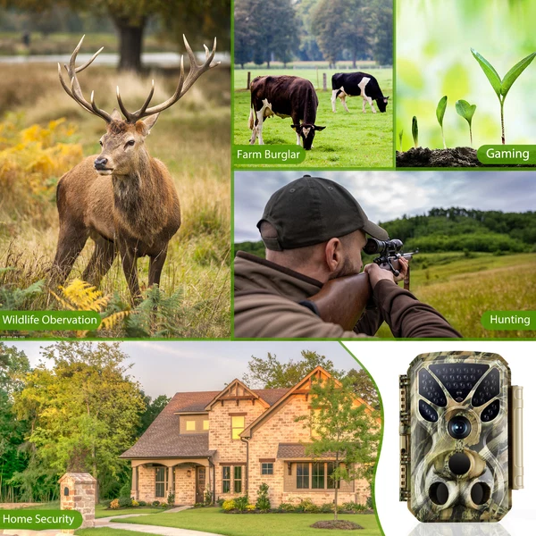 2-Pack Wildkamera 64MP 4K Full HD Video mit Audio und Bewegungsmelder Nachtsicht max. Entfernung bis zu 100ft, 0,1s Auslösegeschwindigkeit, Wasserdicht IP66 | T326 Mattes Militärgrün