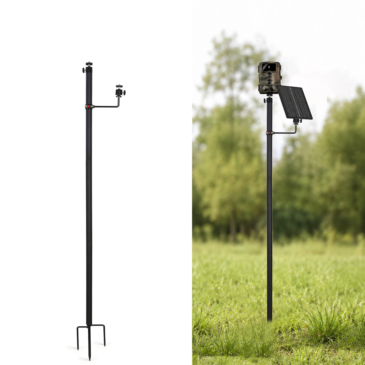 Wildkamera-Halterung mit Bodenanker & Stativ | Höhenverstellbare Seitenhalterung für 2 Kameras oder Solarpanel | Max. 182 cm | 1/4"-20 Universalgewinde (182)