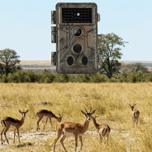 Wildkamera jagd 64MP 1296p Überwachungskameras und Bewegungsmelder Nachtsicht max. Entfernung bis 100Füße, 0,1s Trigger Geschwindigkeit, Wasserdicht IP66 | A323