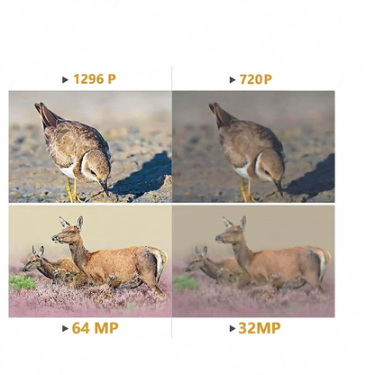 Caméra de surveillance animalière 4 pièces 64MP 1296p avec détecteur de mouvement, vision nocturne, portée maximale jusqu'à 75 pieds, vitesse de déclenchement de 0,3 s, étanchéité IP66 | A252 