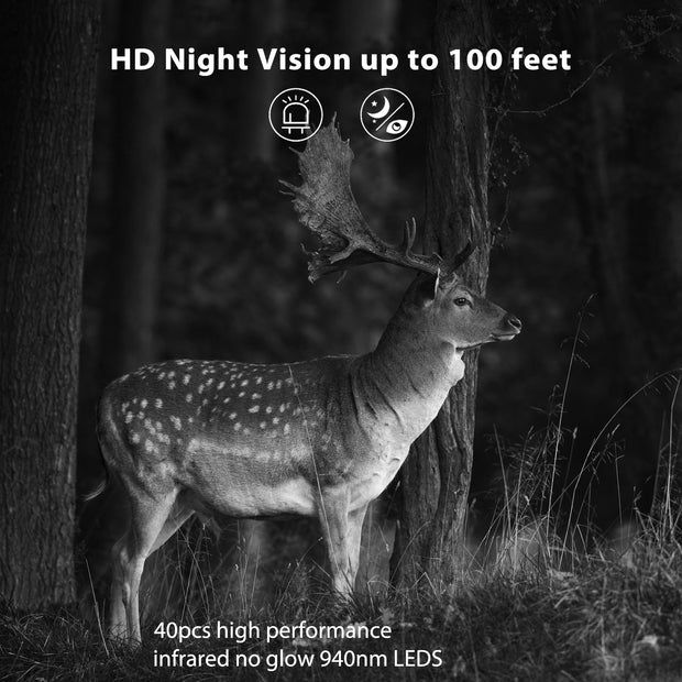 Wildkamera 32MP Foto 4K 2160P Full HD Video mit Audio und Bewegungsmelder Nachtsicht max. Entfernung bis zu 100ft, 0,1s Auslösegeschwindigkeit, Wasserdicht IP66 | T326