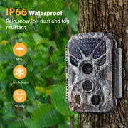 Wildkamera 32MP Foto 4K 2160P Full HD Video mit Audio und Bewegungsmelder Nachtsicht max. Entfernung bis zu 100ft, 0,1s Auslösegeschwindigkeit, Wasserdicht IP66 | T326