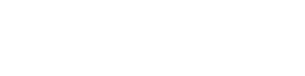 BlazeVideo Germany