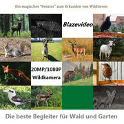 2-tlg. Wärmebildkamera Jagd 24MP 1296p mit Bewegungsmelder Nachtsicht Maximale Entfernung bis 75Füße, 0,3s Trigger Geschwindigkeit , IP66 Wasserdichter| A252