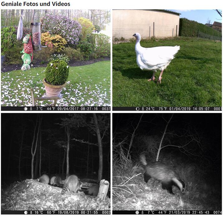 Wildkamera 24MP 2304*1296p mit Bewegungsmelder Nachtsicht Max. Entfernung bis 90 Füße, 0,1s Schnelle Trigger Geschwindigkeit，IP66 Wasserdichter| A262