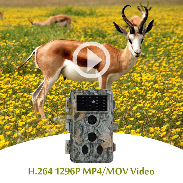 5-tlg. Wildtierkamera 24MP 1296p mit Bewegungsmelder Nachtsicht Max. Entfernung bis 90 Füße, 0,1s Trigger Geschwindigkeit，IP66 Wasserdichter| A262