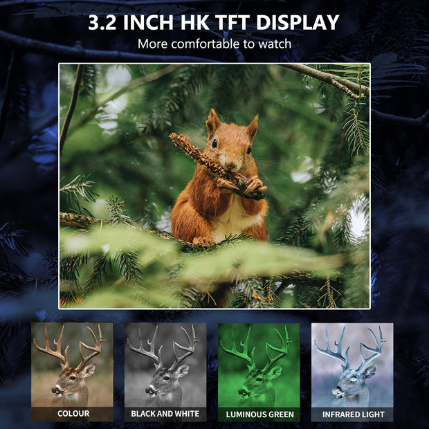 4K 36MP Starlight Digitales Nachtsichtgerät Binokular Entfernung bis 300M mit 3.2" TFT für Jagd Wandern Camping Klettern | NV2180