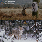 Wildkamera Wlan Fotofalle Jagdkamera Wildtierkamera 32MP 1296P 0,1s Schnelle Trigger Geschwindigkeit Nachtsicht Bewegungsmelder 120°PIR IP66 Wasserdichter | A350W