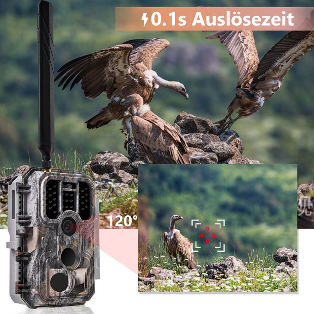 Bundle 4G LTE Wildkamera 32MP mit SIM-Karte und 32GB Speicherkarte und Solarpanel-Kits 8000mAh 12V/9V/6V Nachtsicht IP66 wasserdicht A390G