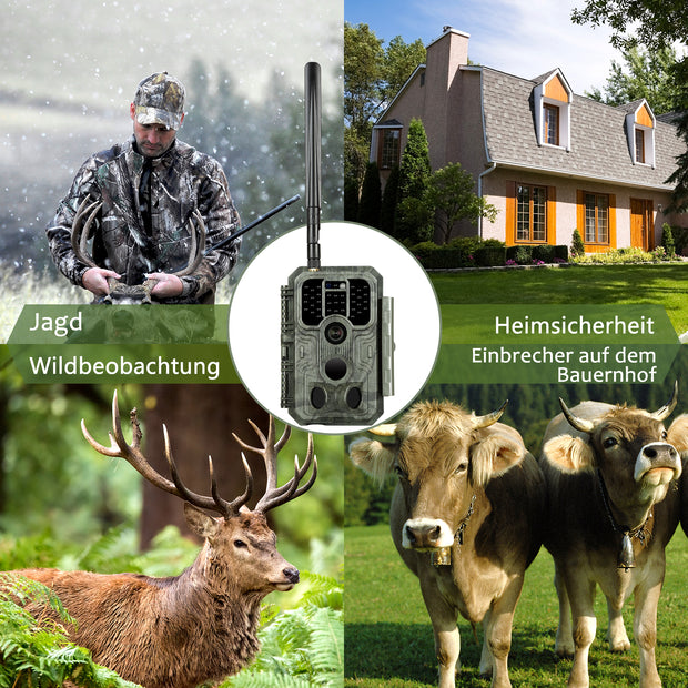 4G LTE Wildkamera Fotofalle Wildtierkamera mit SIM-Karte 120° Bewegungserkennung 48MP 1296P Nachtsicht IP66 wasserdicht und 32GB SD Karte A390G Green