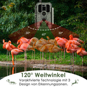 4G LTE Wildkamera Fotofalle Wildtierkamera mit SIM-Karte 120° Bewegungserkennung 48MP 1296P Nachtsicht IP66 wasserdicht und 32GB SD Karte A390G Green