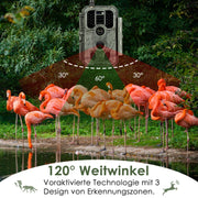 2-tlg. 4G LTE Wildkamera Fotofalle Wildtierkamera mit SIM-Karte 120° Bewegungserkennung 48MP 1296P Nachtsicht IP66 wasserdicht und 32GB SD Karte A390G Green
