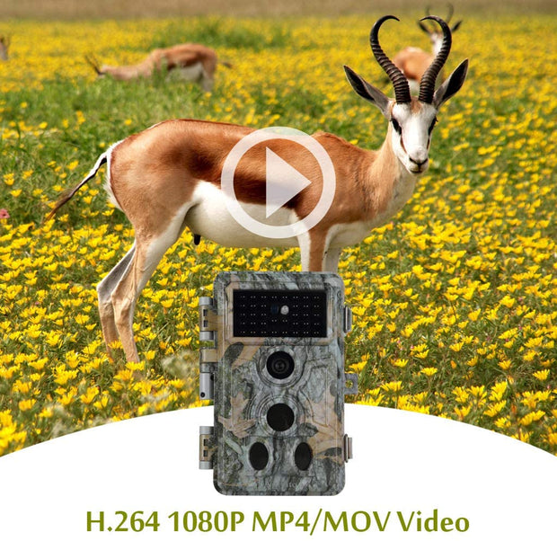 Wärmebildkamera Jagd 24MP 2304*1296p mit Bewegungsmelder Nachtsicht Max. Entfernung bis 90 Füße, 0,1s Schnelle Trigger Geschwindigkeit，IP66 Wasserdichter| A262