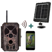 Bundle Wildkamera Wlan 32MP 1296P 0,1s Schnelle Trigger Geschwindigkeit Nachtsicht Bewegungsmelder 110°PIR IP66 Wasserdichter und Solarpanel-Kits 8000mAh 12V/9V/6V | A350W Rot