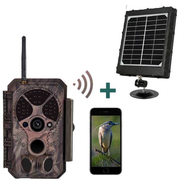 Bundle Wildkamera Wlan 32MP 1296P 0,1s Schnelle Trigger Geschwindigkeit Nachtsicht Bewegungsmelder 110°PIR IP66 Wasserdichter und Solarpanel-Kits 8000mAh 12V/9V/6V | A350W Rot