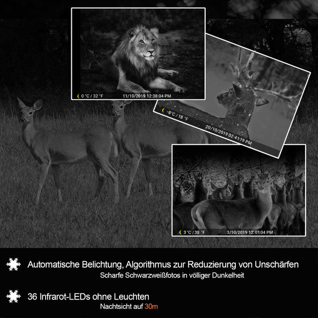 5tlg. Wildkamera 24MP 1080p Video mit Audio und Bewegungsmelder Nachtsicht max. Entfernung bis 100Füße, 0,1s Trigger Geschwindigkeit, Wasserdicht IP66