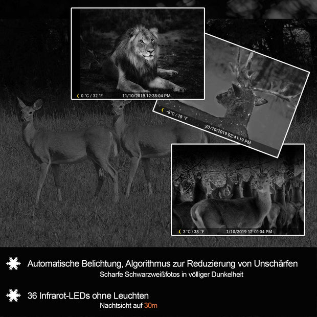 2tlg.Wildkameras 24MP 1080p Video mit Audio und Bewegungsmelder Nachtsicht max. Entfernung bis 100Füße, 0,1s Trigger Geschwindigkeit, Wasserdicht IP66