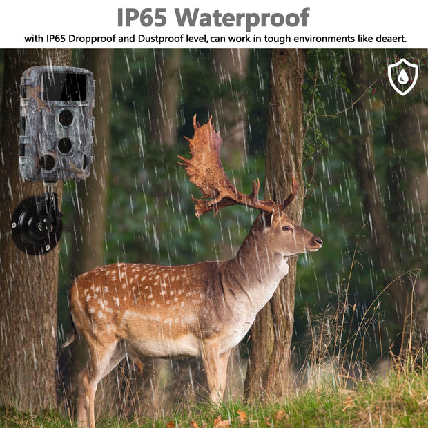 Wildkamera Game Cam 24MP 1080P mit Nachtsicht 42pcs Infrarot-LEDs Auslösedistanz bis zu 20m Erfassungswinkel 120° für die Jagd